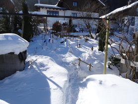 Warten, warten ... auf den Frühling