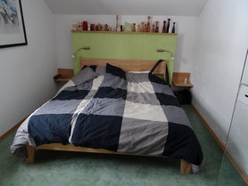 Zuviel Grün und Holzgruscht ??