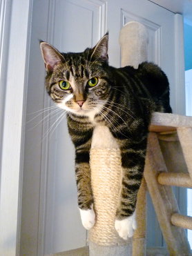 Mich gibt's auch noch.....