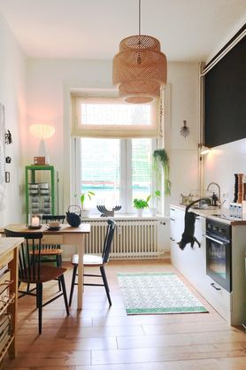 Kitchen fun 🌿 😽