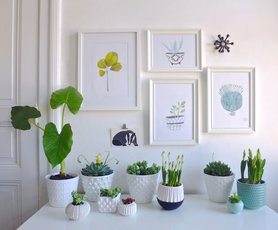 Neulich beim Fenster putzen....