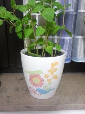 Vogeliger Blumentopf