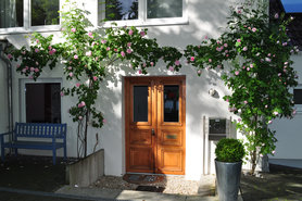 Endlich Juni, ich liebe unsere Rosen