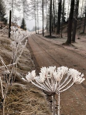1. Advent
auf 1200 Meter
gefrostete