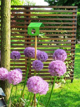 Alle Jahre wieder....