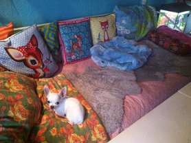 unser  *bankbewacher*.......