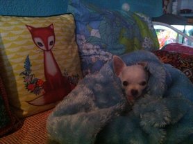 iss der winter schon rum........?