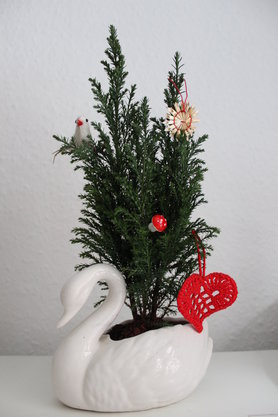 Mein kleiner Tannenbaum im Schwan