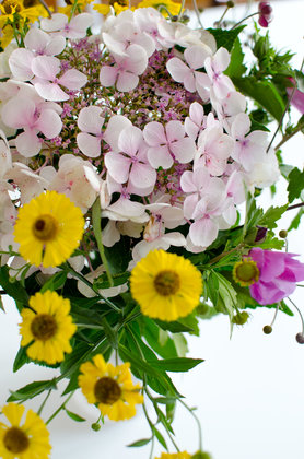 Happy Birthday Oskarlino!!!