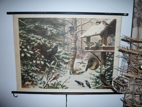 Einheimische Vögel im Winter