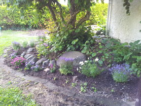 unter dem Nussbaum...