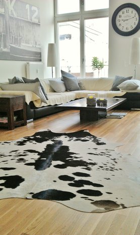 Zimmereinblick auf die Sofaecke