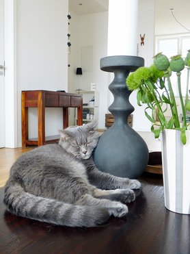 Easy like sunday morning ♪ ♫ 