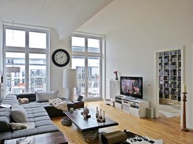 Tee, Wolldecke, Harry Potter...