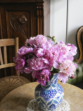 duftende Pfingstrosen