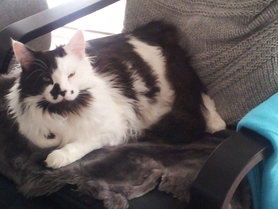 ...da geht der Winterschlaf nahtlos in die Frühjahrsmüdigkeit über....