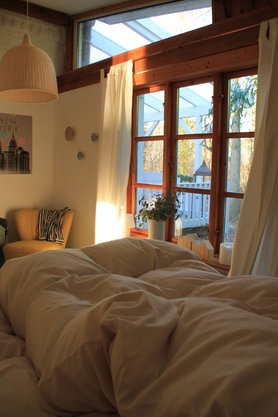 Guten Morgen Silvester....