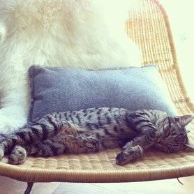 es ist kalt draussen...