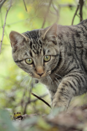 eddie findet den herbst super...