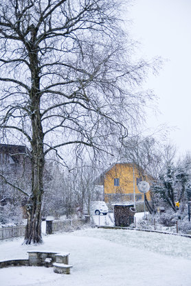 wo ist der gelbe stern?