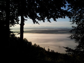 Nebelmeer gestern 8 Uhr morgens
