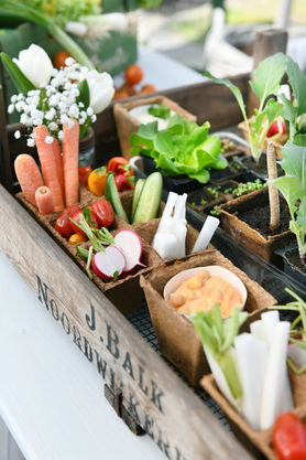 Gemüse dip ¨tip¨
Setzlinge Anzuchtschalen
