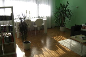 grün, grün, grün...