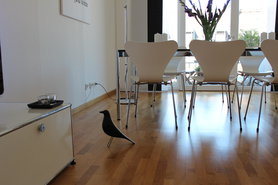 Ich habe einen Vogel...