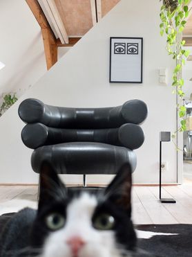 immer wenn ich fotos