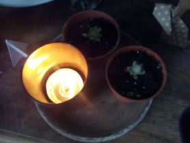 Kindel mitgehen lassen