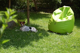 Nano hält mir meinen Sitz frei