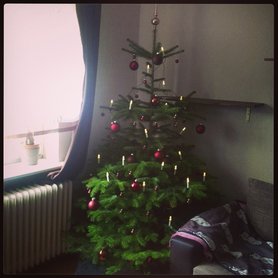 unser Weihnachtsbaum