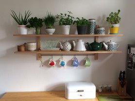 Mühsam ernährt sich das Eichhörnchen