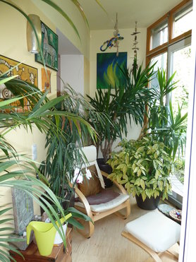 Mein Wintergärtchen