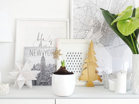 {Sie wächst endlich...}