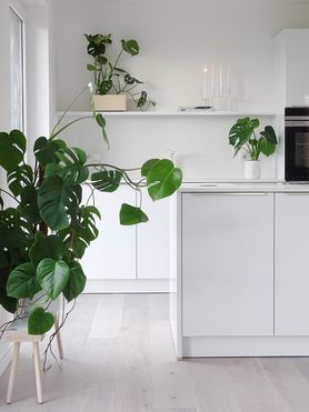 [Inmitten des Umzugschaos...]