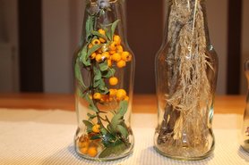 Beeren, Gräser, Tannenzapfen - hinein damit 