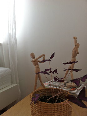 Traumtänzer auf meinem Nachttisch