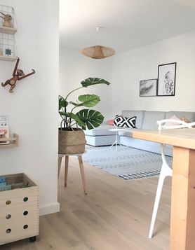 Ich habe allen Grund