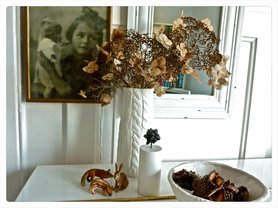 Morgensonne im Wohnzimmer