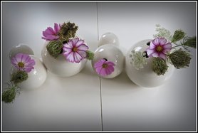 Blumen aus dem Garten