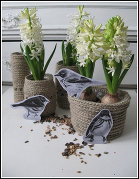 Frühlingsduft zieht durch mein Haus