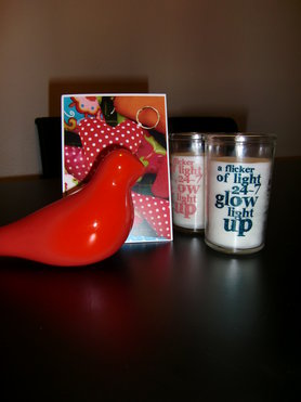 der rote Vogel.. bei uns..