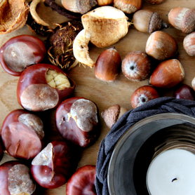 Fundstücke im Herbst