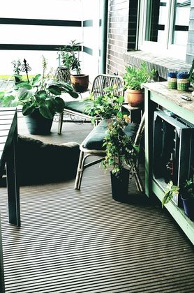 Diese tollen Rattanstühle habe