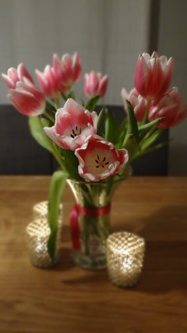 Die ersten Tulpen dieses Jahr