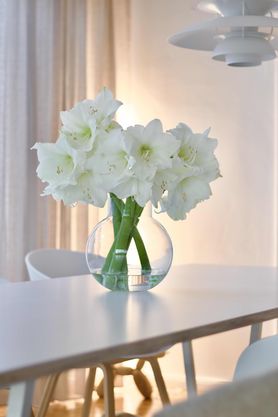 Bild von Splitlevel.home