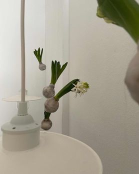 Bild von frau_nilsson_