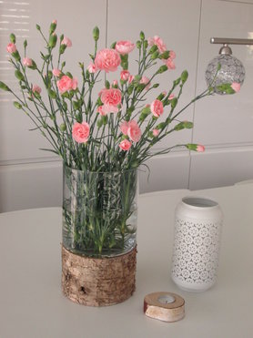 Ein Traum von Nelken...