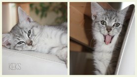 ... neues Familienmitglied ...